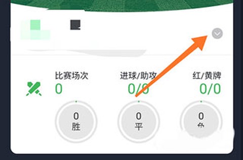 绿茵场[图1]