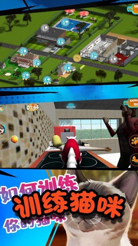 极速流浪猫图2