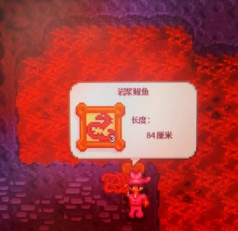 星露谷物语怎么鳗鱼