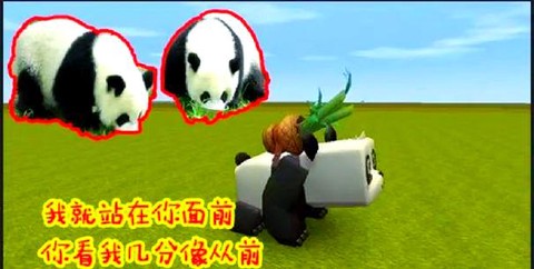 迷你世界熊猫怎么驯服[图2]