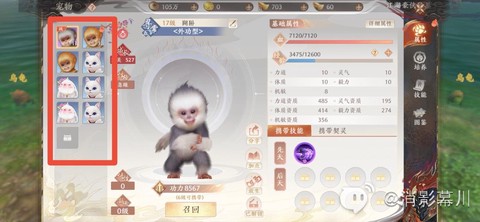 天龙八部怎么捉宝宝