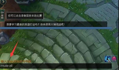 英雄联盟怎么禁言队友[图1]