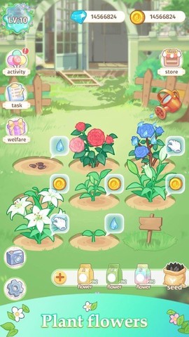 茜茜公主的魔法花园[图1]
