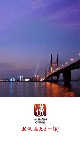 武汉政务图3