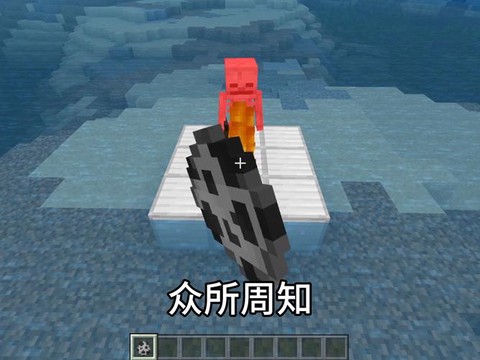 我的世界骷髅怎么养[图1]