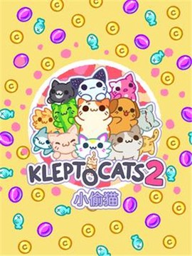 小偷猫图3