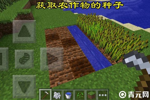 我的世界怎么收获农作物[图1]
