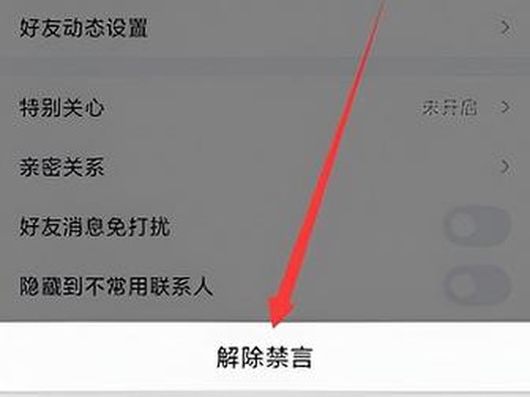 qq飞车怎么解除禁言[图1]