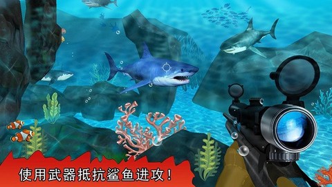 饥饿的巨齿鲨[图1]