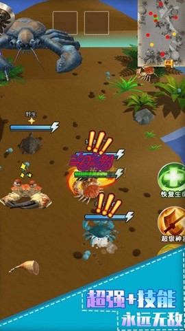 最强螃蟹[图1]