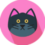 猫猫影视