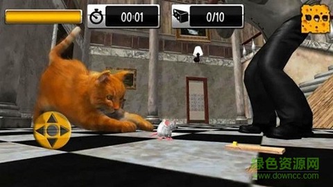 猫鼠之战[图1]