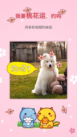 多彩视频图2