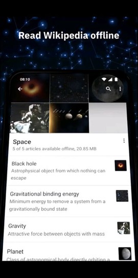 维基百科图2
