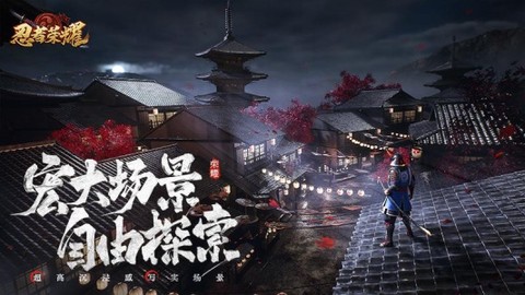 忍者荣耀图2