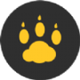云猫玩
