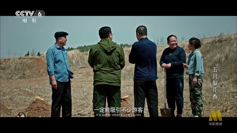 网络电视TV[图1]