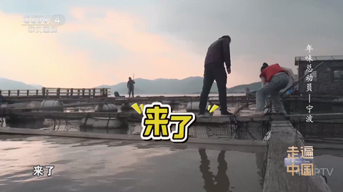 网络电视TV图1