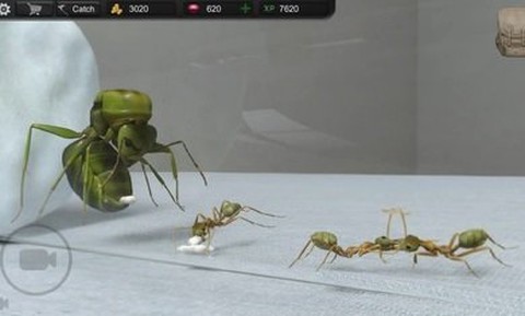 蚂蚁模拟大亨图1