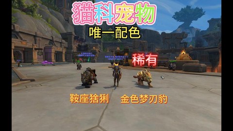 魔兽世界什么宠物好[图2]