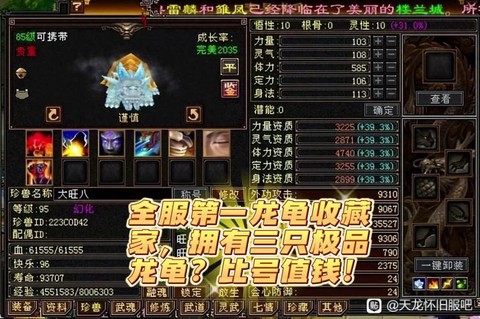 天龙八部手游龙龟打什么技能[图2]