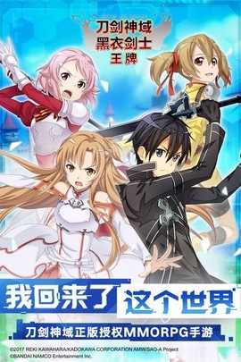刀剑神域黑衣剑士:王牌图3
