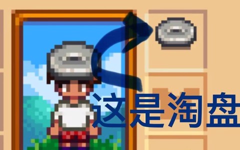 星露谷物语淘盘怎么用