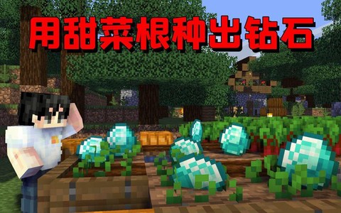 我的世界甜菜根怎么种[图2]