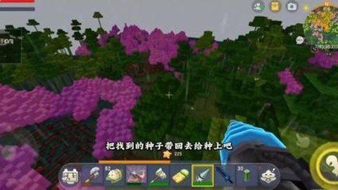 迷你世界世界种子是什么