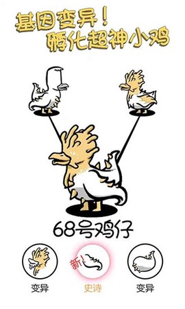 小鸡真奇怪图1