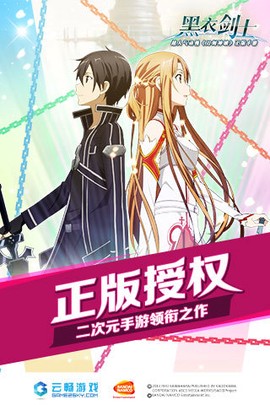 刀剑神域黑衣剑士图1