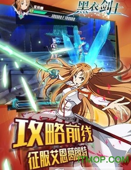 刀剑神域黑衣剑士图3