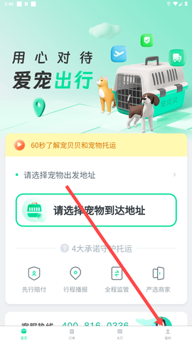 宠贝贝宠物托运平台[图1]