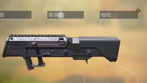 使命召唤战区什么枪[图1]