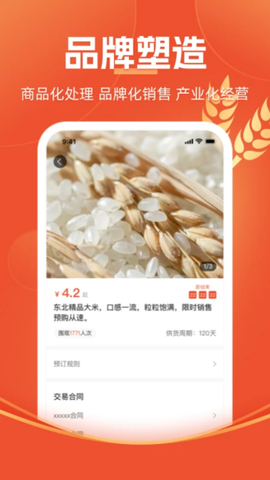 圣农优选图2
