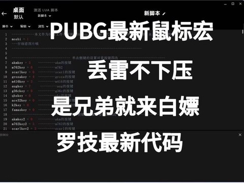 绝地求生鼠标宏是什么[图2]