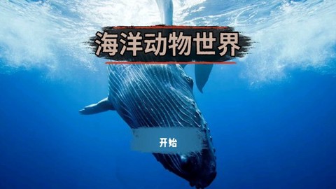 海洋动物世界[图2]