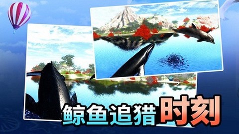 海洋动物世界图3