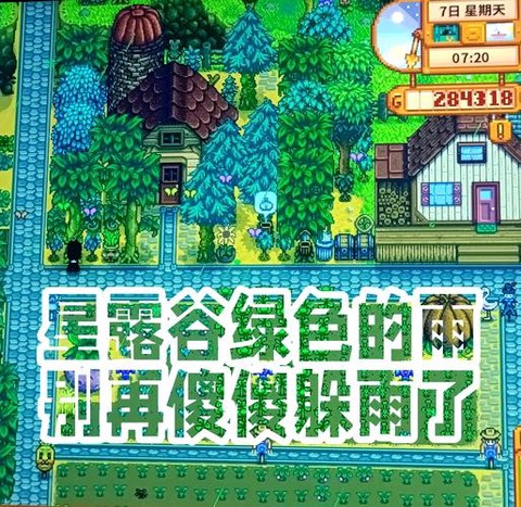 星露谷物语蕨菜怎么得[图2]