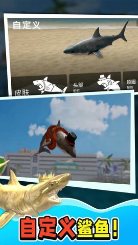鲨鱼大猎杀图1