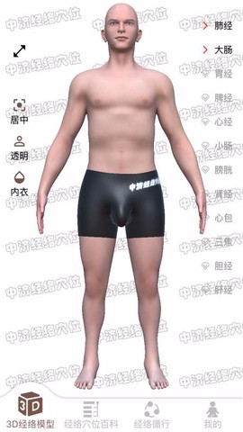 经络穴位图1