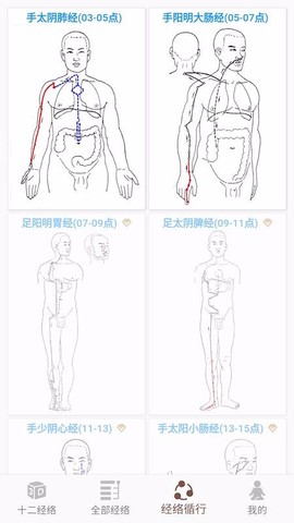 经络穴位图2
