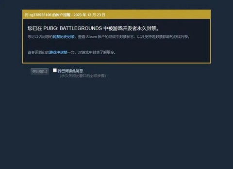 绝地求生vac怎么办[图2]