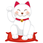 一起来养猫