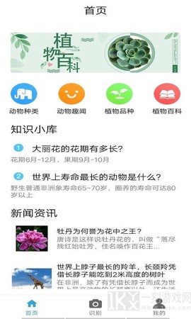 多米植物管家图1