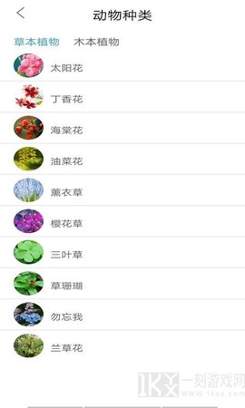 多米植物管家图2
