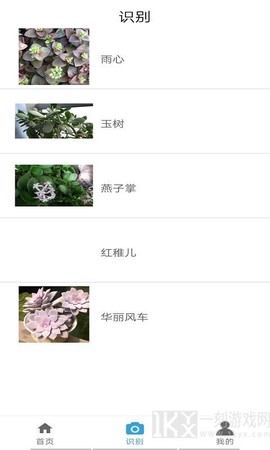 多米植物管家图3