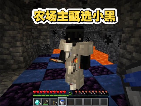 我的世界怎么驯服小黑