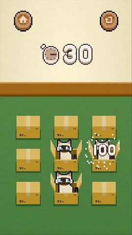 数猫猫图1