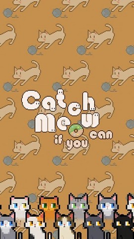 数猫猫图2